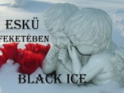 Black Ice: Eskü feketében 1994.