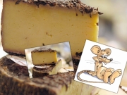 A patkány sajtja